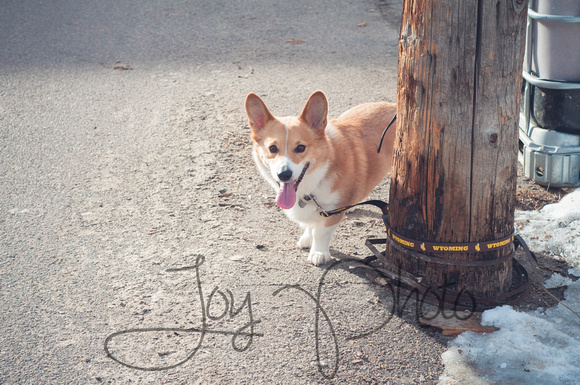 JoyPhoto-BoardEngagement-07